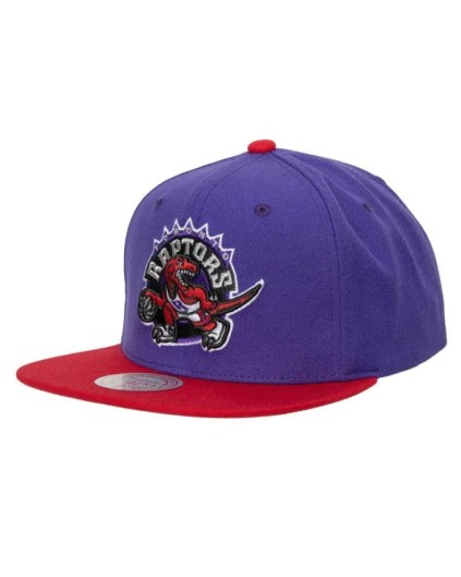 Cap NBA Team 2 Tone 2.0 Snapback HWC Toronto Raptors