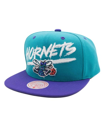 Cap NBA Soulstrike Transcript Snapback Charlotte Hornets